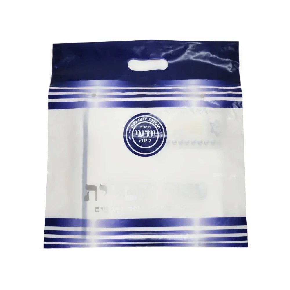 Lion of Judah Picture Prayer Shawl